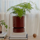Goodee-Bergs Potter-Hoff Ø18 Planter - Color - Burgundy Glazed