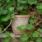 Goodee-Bergs Potter-Copenhagen Ø18 Planter & Saucer - Color - Raw Rosa