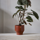Goodee-Skagerak by Fritz Hansen-Edge Pot 18 - Color - Terracotta