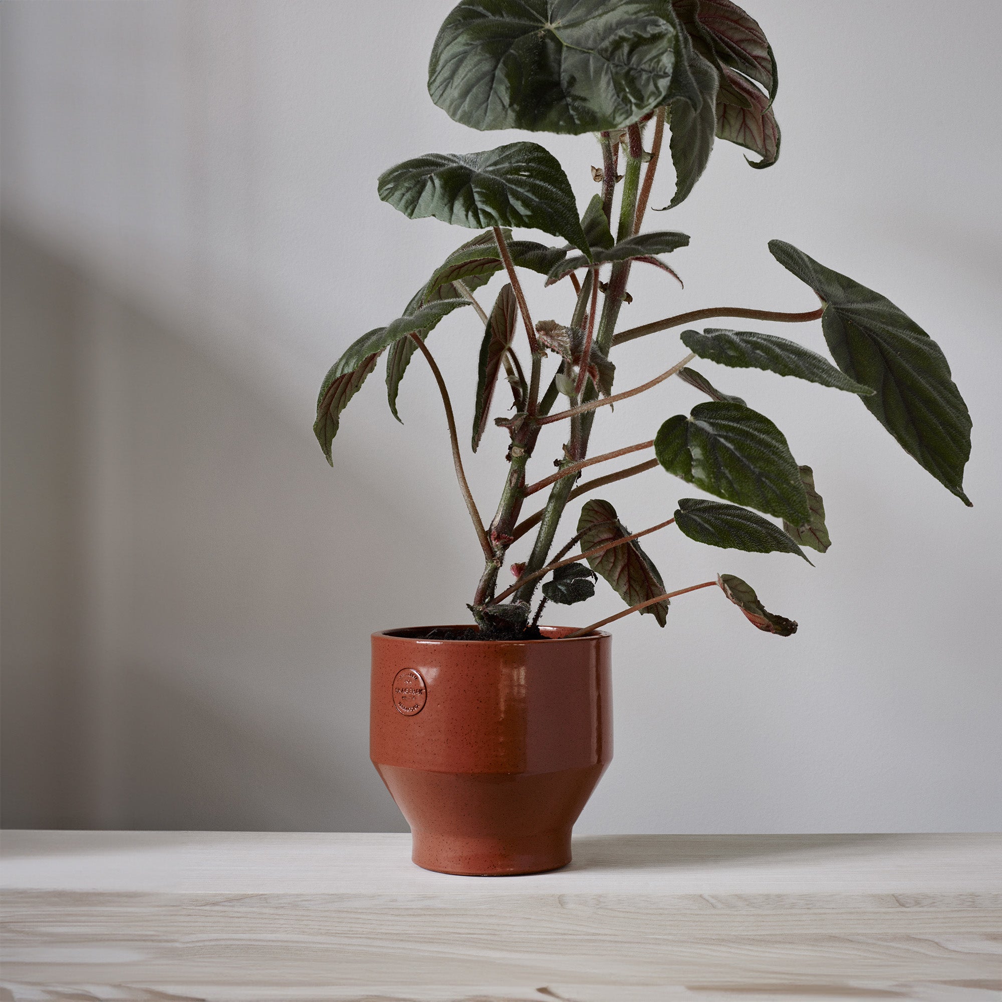 Goodee-Skagerak by Fritz Hansen-Edge Pot 18 - Color - Terracotta