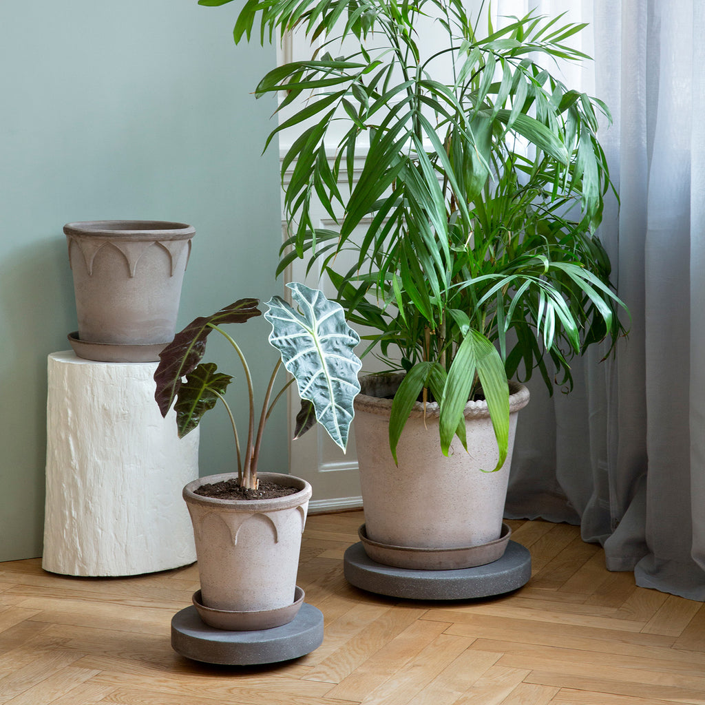 Goodee-Bergs Potter-Plant Trolley 35 - Couleur - Pierre foncée