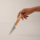 Goodee-All Day Goods-Petty Knife - Color - Space Dust