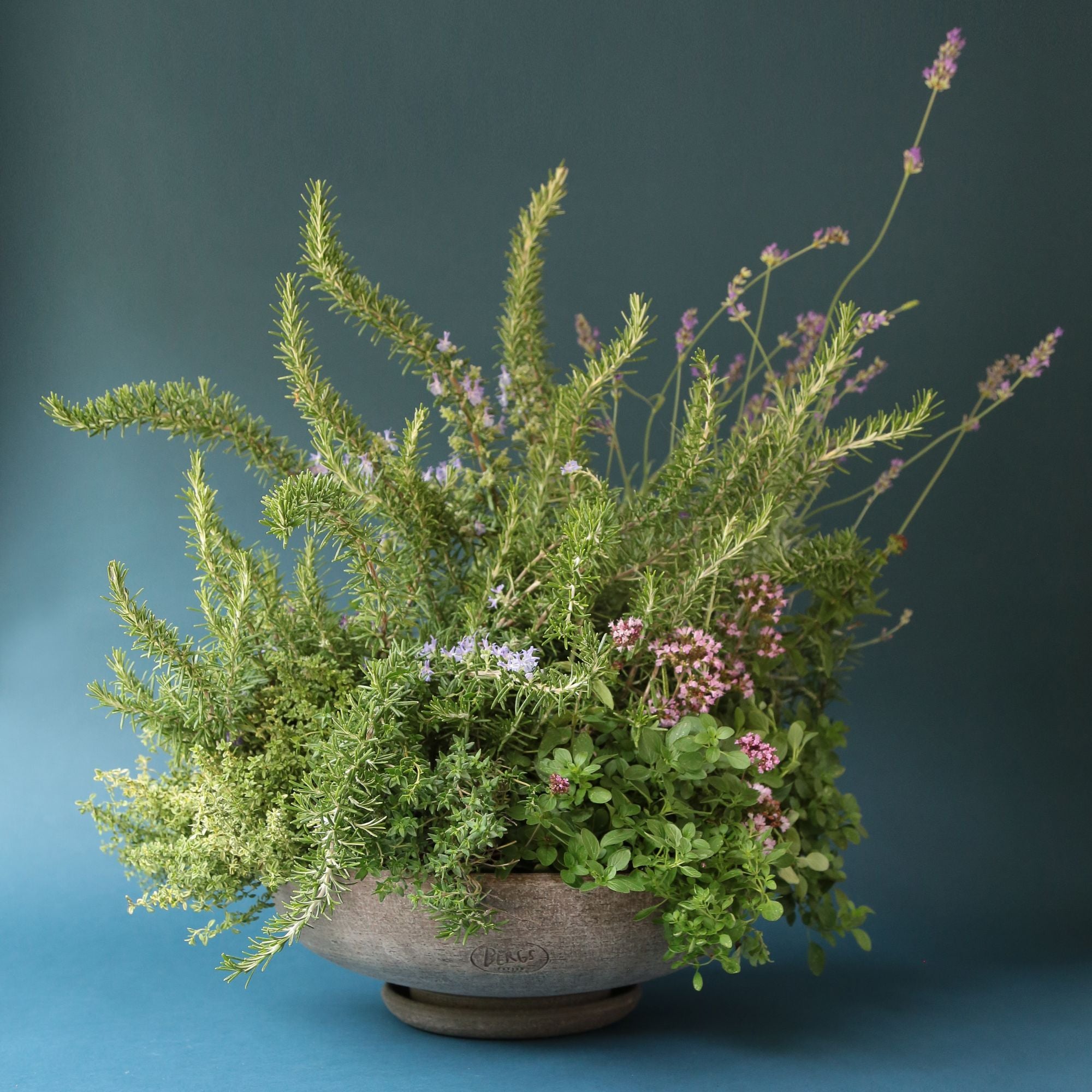 Goodee-Bergs Potter-Ada Ø30 Bowl & Saucer - Color - Raw Grey