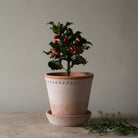 Goodee-Bergs Potter-Helena Ø14 Planter & Saucer - Color - Raw Rosa