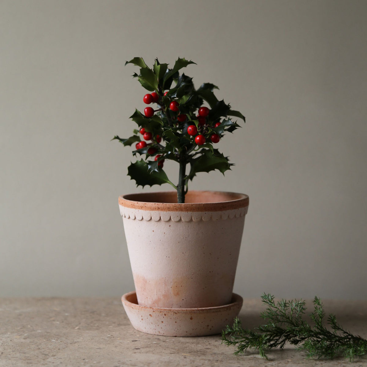 Goodee-Bergs Potter-Helena Ø14 Planter & Saucer - Color - Raw Rosa