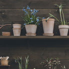 Goodee-Bergs Potter-Julie Ø21 Planter & Saucer - Color - Raw Rosa