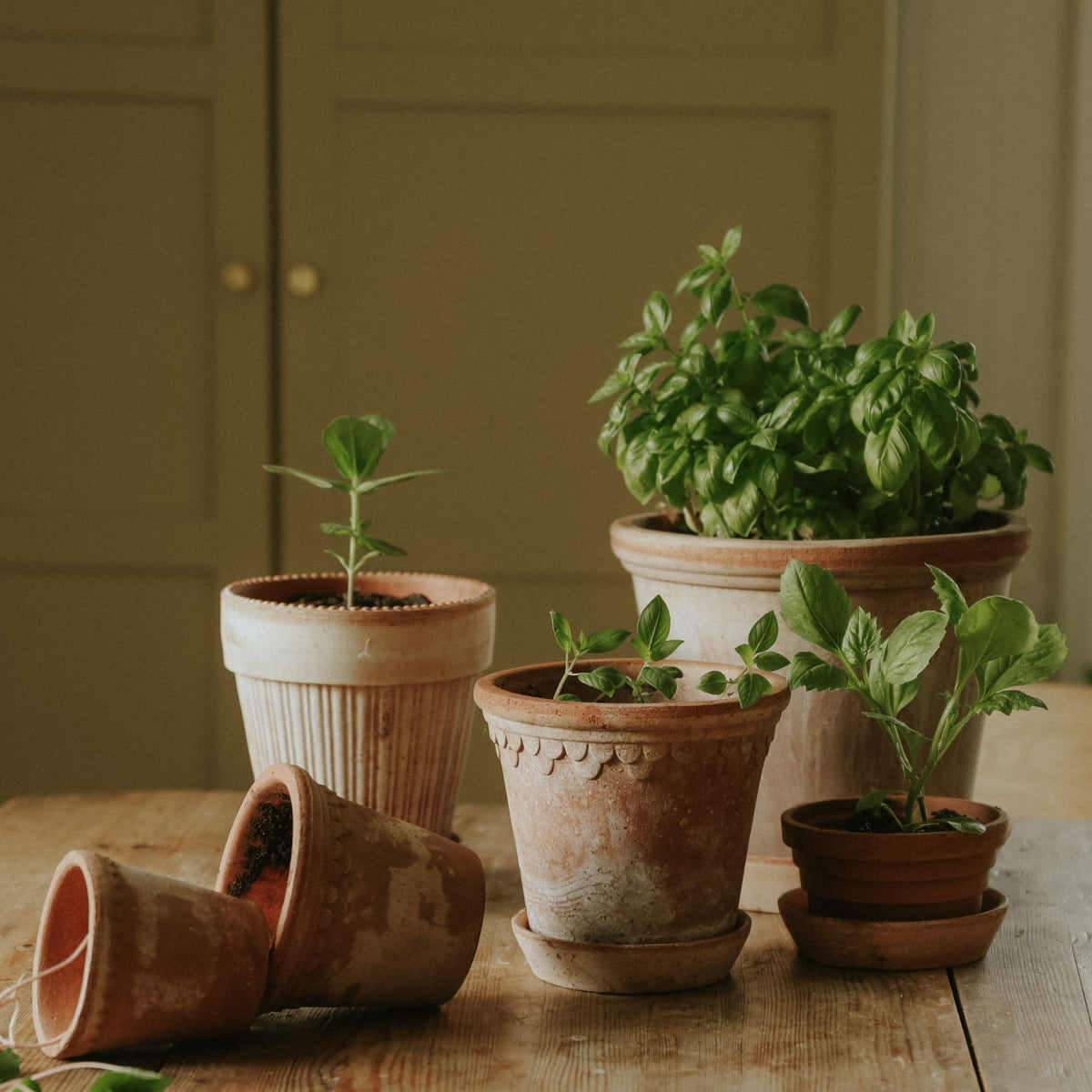 Goodee-Bergs Potter-Copenhagen Ø14 Planter & Saucer - Color - Raw Rosa