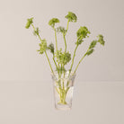 Goodee-Bergs Potter-Copenhagen Vase Ø11 - Color - Clear