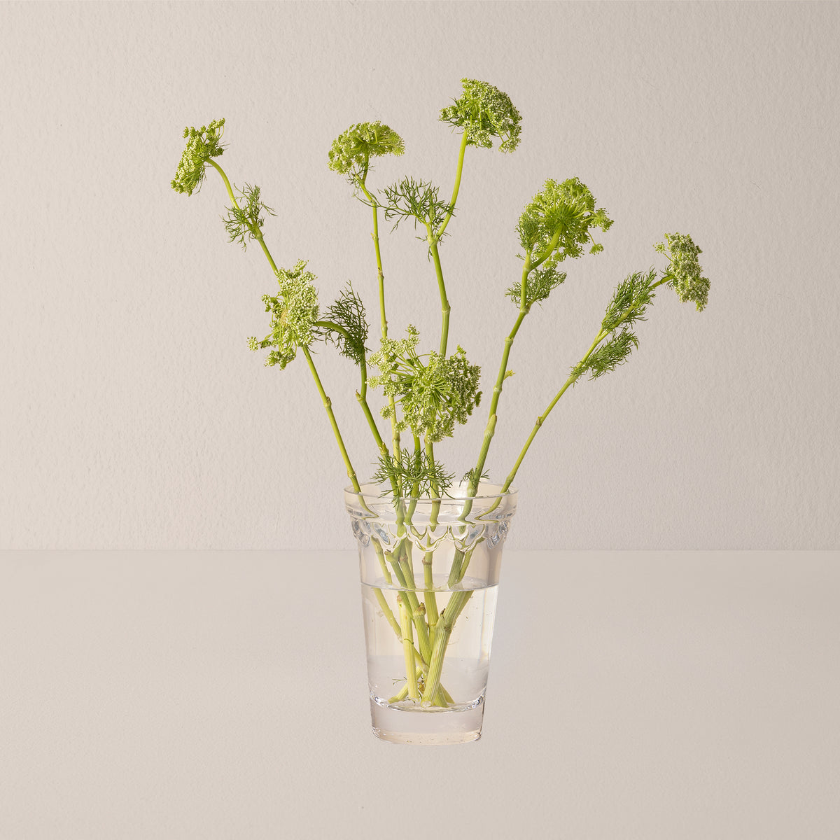 Goodee-Bergs Potter-Copenhagen Vase Ø11 - Color - Clear