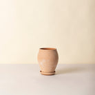 Goodee-Bergs Potter-Delphi Ø22 Tall Planter & Saucer - Color - Raw Rosa