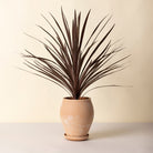 Goodee-Bergs Potter-Delphi Ø22 Tall Planter & Saucer - Color - Raw Rosa