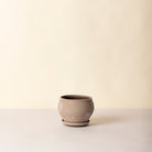 Goodee-Bergs Potter-Delphi Ø24 Low Planter & Saucer - Color - Raw Grey