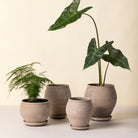Goodee-Bergs Potter-Delphi Planter & Saucer - Color - Raw Grey