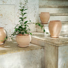Goodee-Bergs Potter-Delphi Planter & Saucer - Color - Raw Rosa