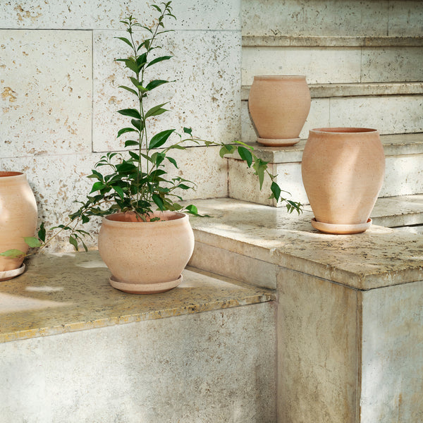 Delphi Ø24 Low Planter & Saucer – Goodee
