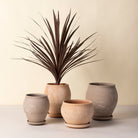 Goodee-Bergs Potter-Delphi Planter & Saucer - Color - Raw Grey Raw Rosa