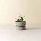 Goodee-Bergs Potter-Hoff Ø25 Low Planter - Color - Raw Grey