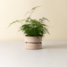 Goodee-Bergs Potter-Hoff Ø25 Low Planter - Color - Raw Rosa