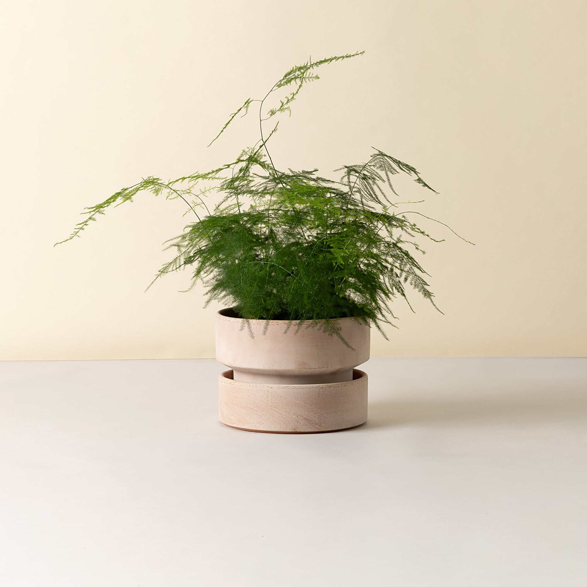 Goodee-Bergs Potter-Hoff Ø25 Low Planter - Color - Raw Rosa