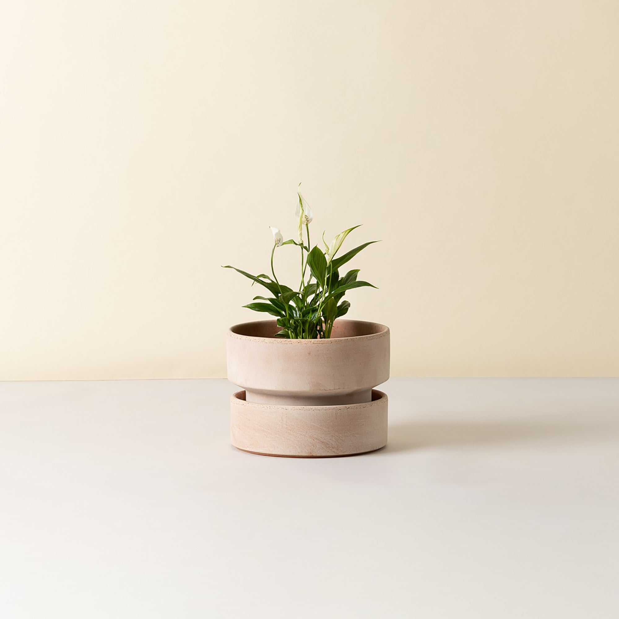Goodee-Bergs Potter-Hoff Ø25 Low Planter - Color - Raw Rosa