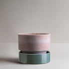 Goodee-Bergs Potter-Hoff Ø30 Planter - Color - Raw Rosa & Hoff Ø30 Saucer - Color - Misty Blue Glazed
