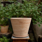 Goodee-Bergs Potter-Julie Ø30 Planter & Saucer - Color - Raw Rosa