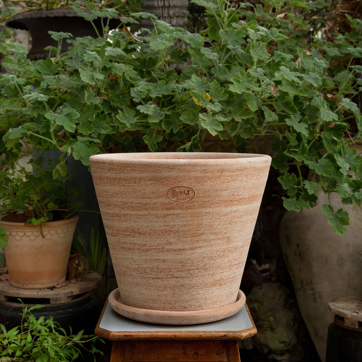 Goodee-Bergs Potter-Julie Ø30 Planter & Saucer - Color - Raw Rosa