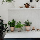 Goodee-Bergs Potter-Pantheon Ø14 Planter & Saucer