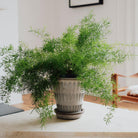 Goodee-Bergs Potter-Pantheon Ø14 Planter & Saucer - Color - Raw Grey