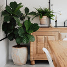 Goodee-Bergs Potter-Pantheon Ø14 Planter & Saucer - Color - Raw Rosa