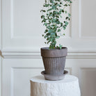 Goodee-Bergs Potter-Simona Ø18 Planter & Saucer Gift Set - Color - Raw Grey