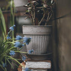 Goodee-Bergs Potter-Simona Ø18 Planter & Saucer Gift Set - Color - Raw Grey