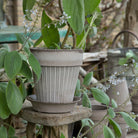 Goodee-Bergs Potter-Simona Ø18 Planter & Saucer Gift Set - Color - Raw Grey