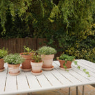 Goodee-Bergs Potter-Simona Ø18 Planter & Saucer Gift Set - Color - Raw Rosa