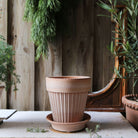Goodee-Bergs Potter-Simona Ø18 Planter & Saucer Gift Set - Color - Raw Rosa