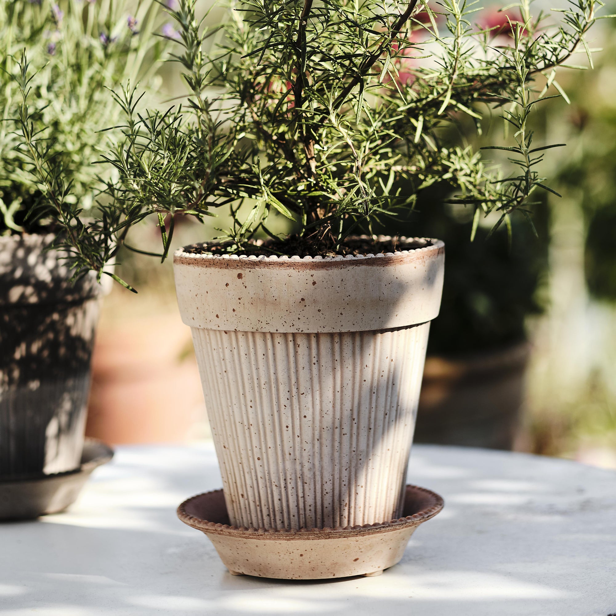 Simona Ø18 Planter & Saucer Gift Set – Goodee