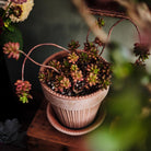 Goodee-Bergs Potter-Simona Ø18 Planter & Saucer Gift Set - Color - Raw Rosa