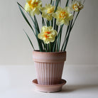 Goodee-Bergs Potter-Simona Ø18 Planter & Saucer Gift Set - Color - Raw Rosa