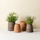 Goodee-Bergs Potter-Viva Ø12 Ø14 Self-Watering Planter & Saucer - Color - Raw Grey Raw Rosa
