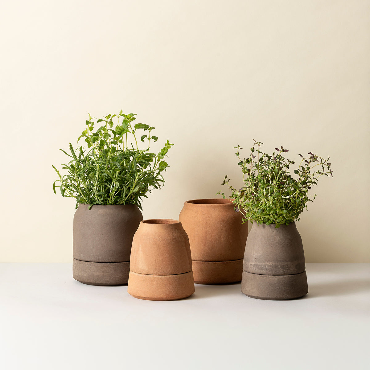 Goodee-Bergs Potter-Viva Ø12 Ø14 Self-Watering Planter & Saucer - Color - Raw Grey Raw Rosa