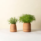 Goodee-Bergs Potter-Viva Ø12 Ø14 Self-Watering Planter & Saucer - Color - Raw Rosa