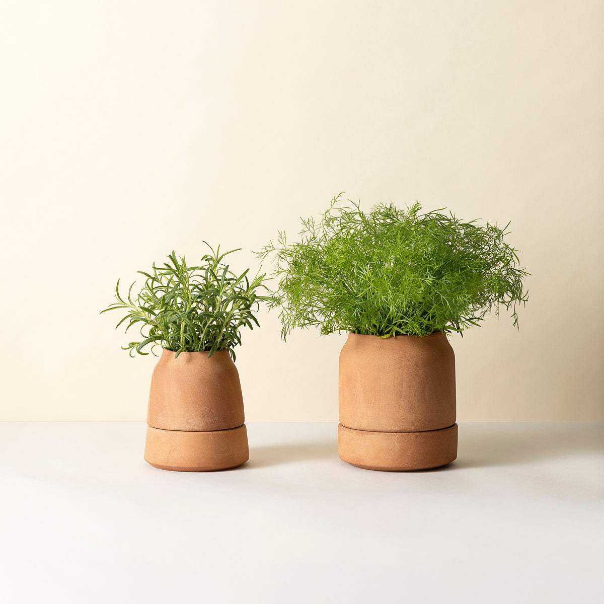 Goodee-Bergs Potter-Viva Ø12 Ø14 Self-Watering Planter & Saucer - Color - Raw Rosa