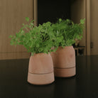 Goodee-Bergs Potter-Viva Self-Watering Planter & Saucer - Color - Raw Rosa