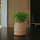 Goodee-Bergs Potter-Viva Ø14 Self-Watering Planter & Saucer - Color - Raw Rosa