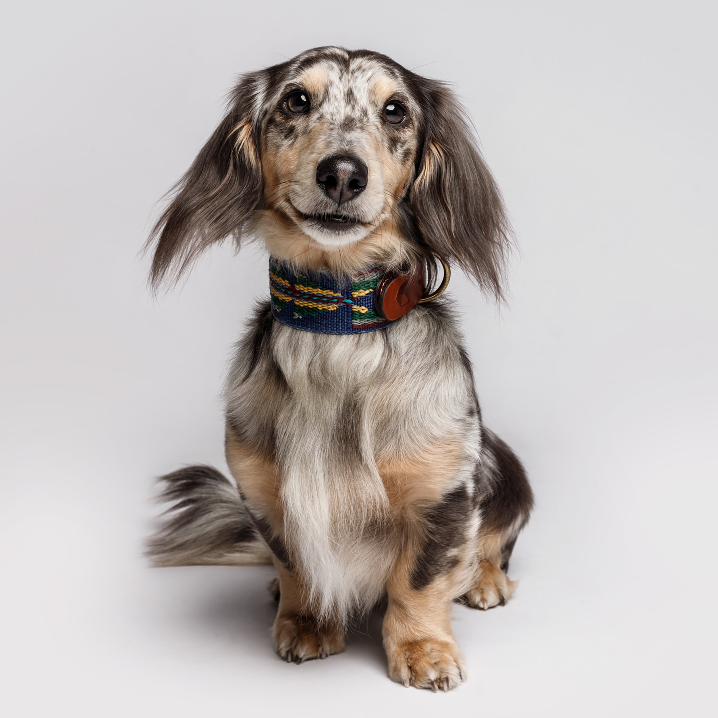犬用品 Buddys Etna ハーネス