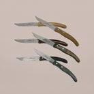 Goodee-Claude Dozorme-6-Piece Steak Knife Set - Everwood - Color - Everwood