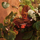 Goodee-Ferm Living-Mercury Water Globes - Small - Set of 2 - Color - Amber