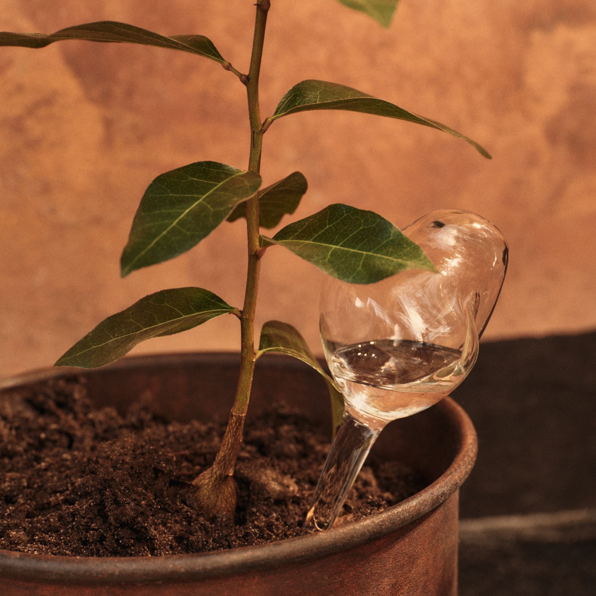 Goodee-Ferm Living-Mercury Water Globes - Small - Set of 2 - Color - Clear
