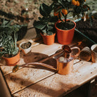 Goodee-Haws-The Rowley Ripple (Two Pint) - Color - Copper