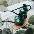 Goodee-Haws-The Fazeley Flow (Two Pint)-The Fazeley Flow (One Pint) - Color - Green